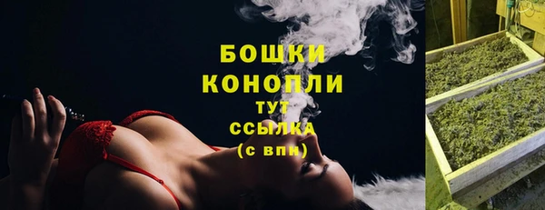 mdpv Вяземский