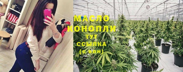 Альфа ПВП Горняк