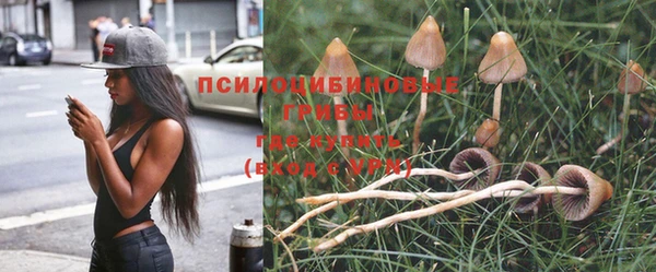Альфа ПВП Горняк