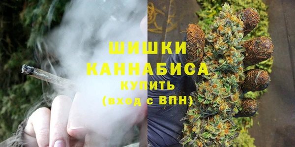 Альфа ПВП Горняк