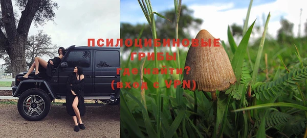 Альфа ПВП Горняк
