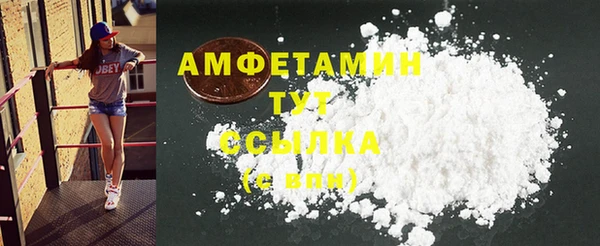 Альфа ПВП Горняк