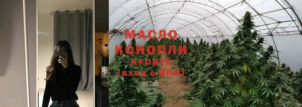 Альфа ПВП Горняк