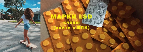 ПСИЛОЦИБИНОВЫЕ ГРИБЫ Горнозаводск