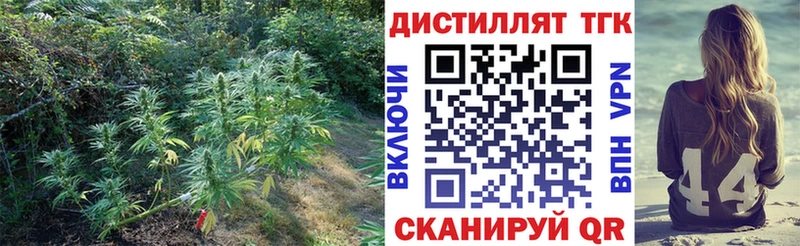 ТГК концентрат Боровичи