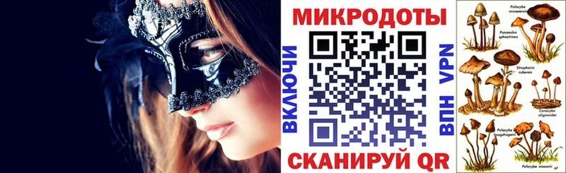 Купить Боровичи Псилоцибиновые грибы GOLDEN TEACHER